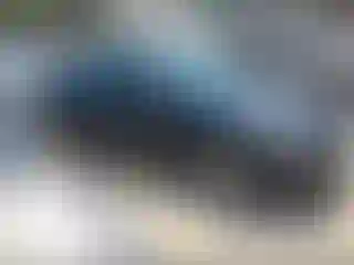 Vehicle Image- 2009 Nissan Altima