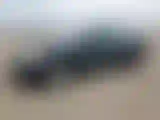 Vehicle Image- 2009 Nissan Altima