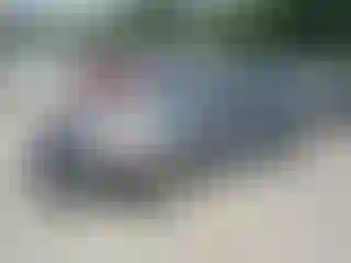 Vehicle Image- 2007 Nissan Altima