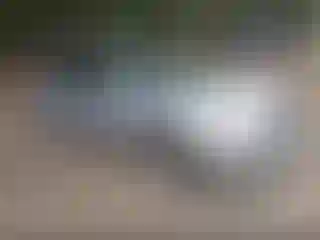 Vehicle Image- 2007 Nissan Altima