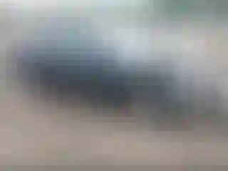 Vehicle Image- 2008 Nissan Altima