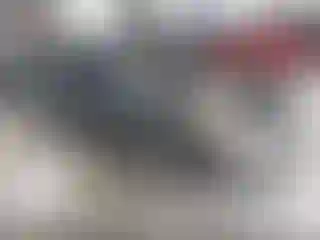 Vehicle Image- 2008 Nissan Altima