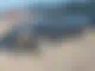 Vehicle Image- 2008 Nissan Altima