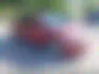 Vehicle Image- 2009 Nissan Altima