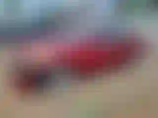 Vehicle Image- 2007 Nissan Altima
