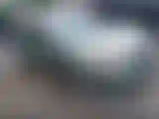 Vehicle Image- 2007 Nissan Altima