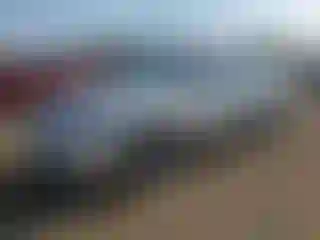 Vehicle Image- 2008 Nissan Altima