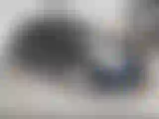Vehicle Image- 2008 Nissan Altima