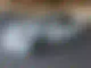 Vehicle Image- 2009 Nissan Altima