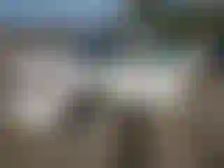 Vehicle Image- 2007 Nissan Altima