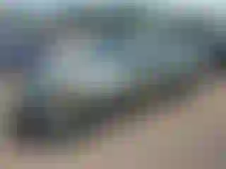 Vehicle Image- 2007 Nissan Altima