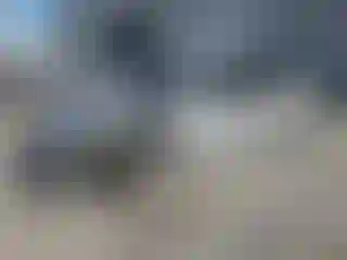 Vehicle Image- 2008 Nissan Altima