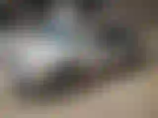 Vehicle Image- 2008 Nissan Altima