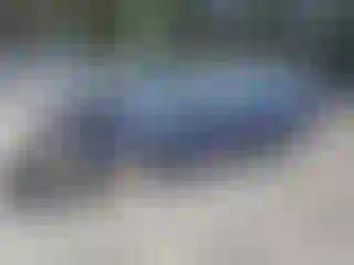 Vehicle Image- 2008 Nissan Altima