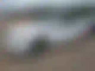 Vehicle Image- 2008 Nissan Altima