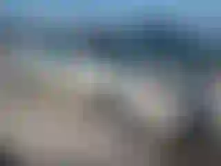 Vehicle Image- 2009 Nissan Altima