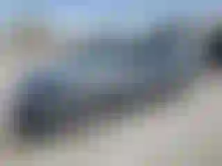 Vehicle Image- 2009 Nissan Altima