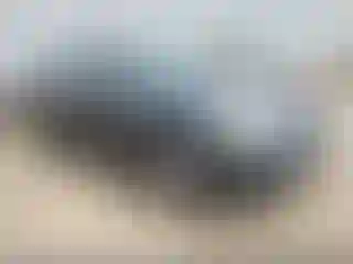 Vehicle Image- 2009 Nissan Altima