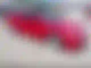 Vehicle Image- 2008 Nissan Altima