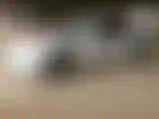 Vehicle Image- 2008 Nissan Altima