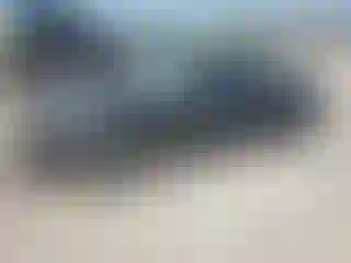 Vehicle Image- 2009 Nissan Altima
