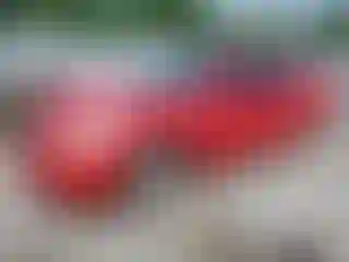 Vehicle Image- 2008 Nissan Altima