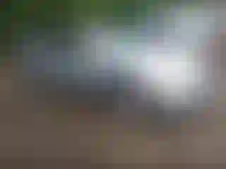 Vehicle Image- 2008 Nissan Altima