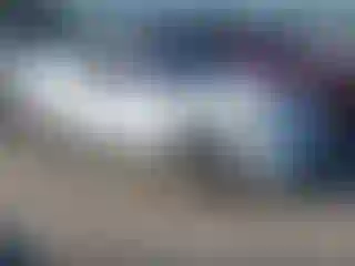 Vehicle Image- 2008 Nissan Altima