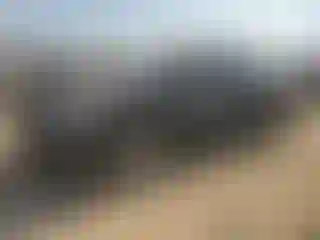 Vehicle Image- 2010 Nissan Altima