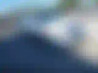 Vehicle Image- 2010 Nissan Altima