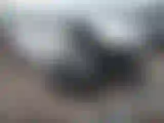 Vehicle Image- 2011 Nissan Altima