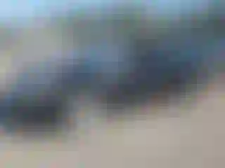 Vehicle Image- 2012 Nissan Altima