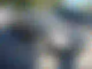 Vehicle Image- 2010 Nissan Altima