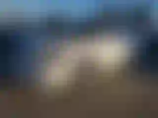 Vehicle Image- 2012 Nissan Altima