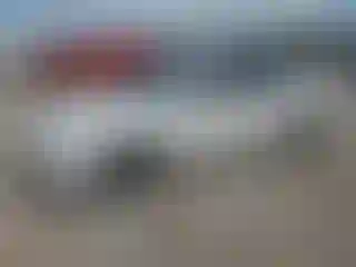 Vehicle Image- 2010 Nissan Altima
