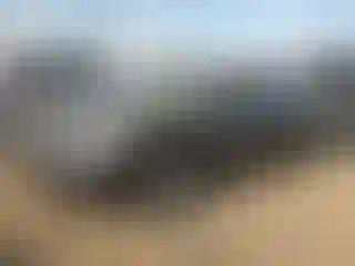 Vehicle Image- 2011 Nissan Altima