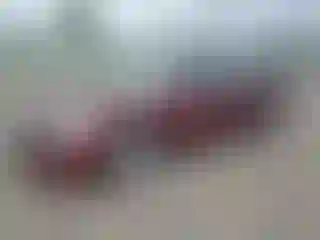 Vehicle Image- 2012 Nissan Altima