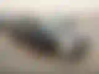 Vehicle Image- 2010 Nissan Altima