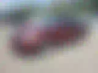 Vehicle Image- 2010 Nissan Altima
