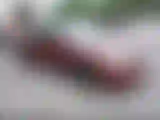 Vehicle Image- 2010 Nissan Altima