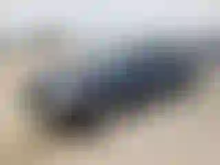 Vehicle Image- 2010 Nissan Altima