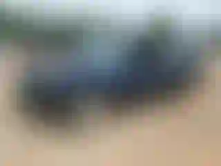 Vehicle Image- 2011 Nissan Altima