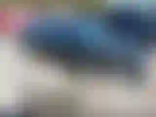 Vehicle Image- 2011 Nissan Altima