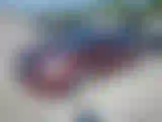 Vehicle Image- 2011 Nissan Altima