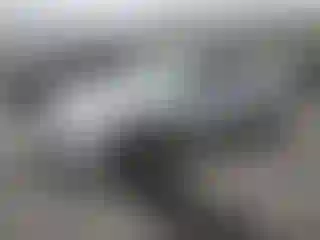 Vehicle Image- 2010 Nissan Altima