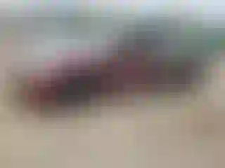 Vehicle Image- 2010 Nissan Altima