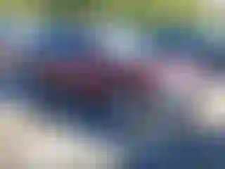 Vehicle Image- 2012 Nissan Altima