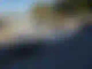 Vehicle Image- 2010 Nissan Altima