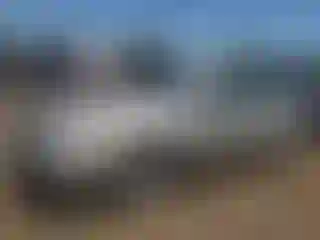 Vehicle Image- 2010 Nissan Altima