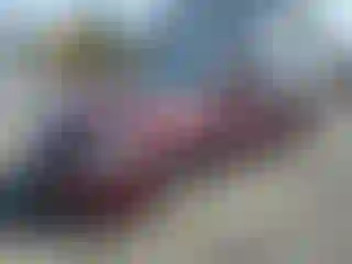 Vehicle Image- 2010 Nissan Altima